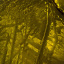 9 of 14 X 25_Washburn_Unworldly Landscapes-Namibia--25 v2 18x12