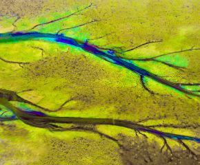 Namibia Abstracts