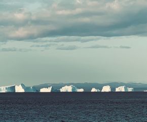 Saving the Behemoth of the Ice: The Polar Bear