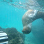 Ecuador-Galap_Izilwane_Sept_201135