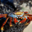 Ecuador-Galap_Izilwane_Sept_201150