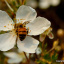 CSC_0047