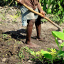 farming