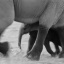 item4.rendition.slideshowHorizontal.elephants-ss05