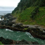 Oregon 465