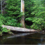 Pond 465