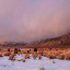 Winter V 465