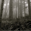 Whispers redone465