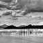 DSC_1177_78