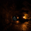 Izilwane-Hawaii_2