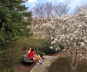 Urban Wild: Getting Outside In the City