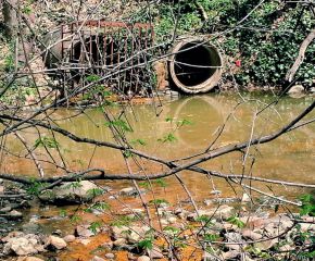Unnatural in Nature