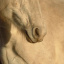 1Student-of-the-Horse