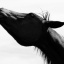 9Student-of-the-Horse