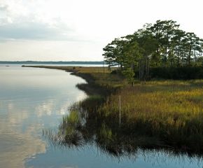 Weeks Bay National Estuarine Research Reserve