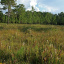 weeks 5 small_PREVIEW