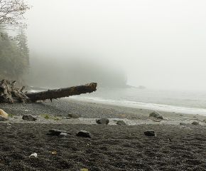 Waking up to Vancouver Island's Diversity