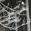 DSCN1536