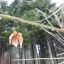 DSCN1531