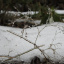 DSCN1559