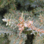 DSCN1574