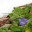 DSCN1577