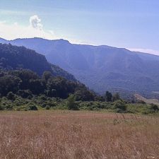 My life in the Naimina Enkiyio Forest, Part 2