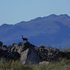Overnight in the Cederberg