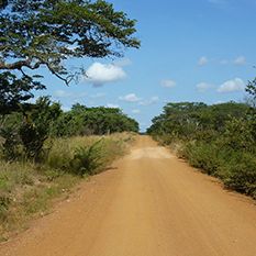 Tanzania Denuded